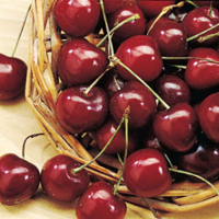 Nijiya Cherry Gift ニジヤ チェリーギフト Nijiya Market Natural Organic Healthy And Gourmet Japanese Grocery