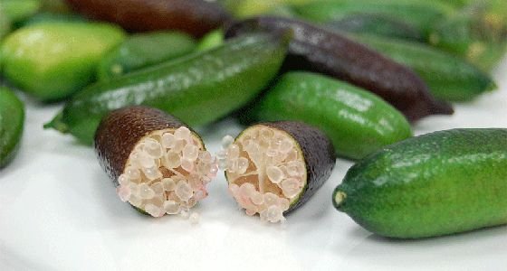 Finger Lime / フィンガーライム | Nijiya Market - Natural, Organic 