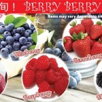 Berry Berry Fair!