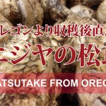 Mastutake now on sale!!／松茸、絶賛発売中！