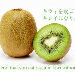 we recommend that you eat organic kiwi without peeling it!<br>キウイフルーツを皮ごと食べてきれいになりましょう！