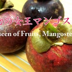 Queen of Fruits, Mangosteen<br> 果物の女王マンゴスチン
